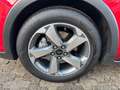 Ford Focus Turnier 1.0 MHEV Hybrid Active X ***AHK*** Rot - thumbnail 9