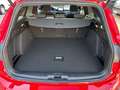 Ford Focus Turnier 1.0 MHEV Hybrid Active X ***AHK*** Rot - thumbnail 10