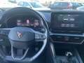 CUPRA Formentor Formentor 2020 2.0 tdi 150cv Verde - thumbnail 5