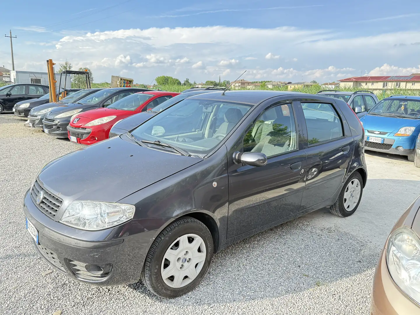 Fiat Punto 5p 1.2 Dynamic - 2