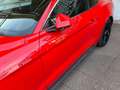 Ford Mustang Fastback 2.3 ecoboost 290cv auto my19 Rosso - thumbnail 5