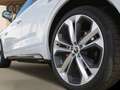 Audi Q5 55 TFSI e Q S line GWP 21"|Raute|Matrix|Optik-Pkt| Weiß - thumbnail 9