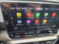 SEAT Leon SP Xcellence TDI DSG - thumbnail 19