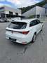 SEAT Leon SP Xcellence TDI DSG - thumbnail 4