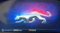 Ford Puma 1.0 EcoBoost 155ch mHEV ST-Line BVA IMPORT - thumbnail 9