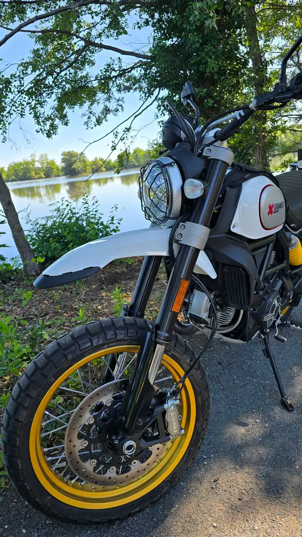 Ducati Scrambler Desert Sled Alb - 2