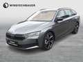 Skoda Octavia Sportline TDI DSG Grau - thumbnail 1