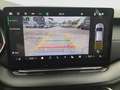 Skoda Octavia Sportline TDI DSG Grau - thumbnail 15