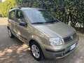 Fiat Panda 1.2 Emotion dualogic NEOPATENTATI - thumbnail 8