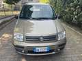 Fiat Panda 1.2 Emotion dualogic NEOPATENTATI - thumbnail 4