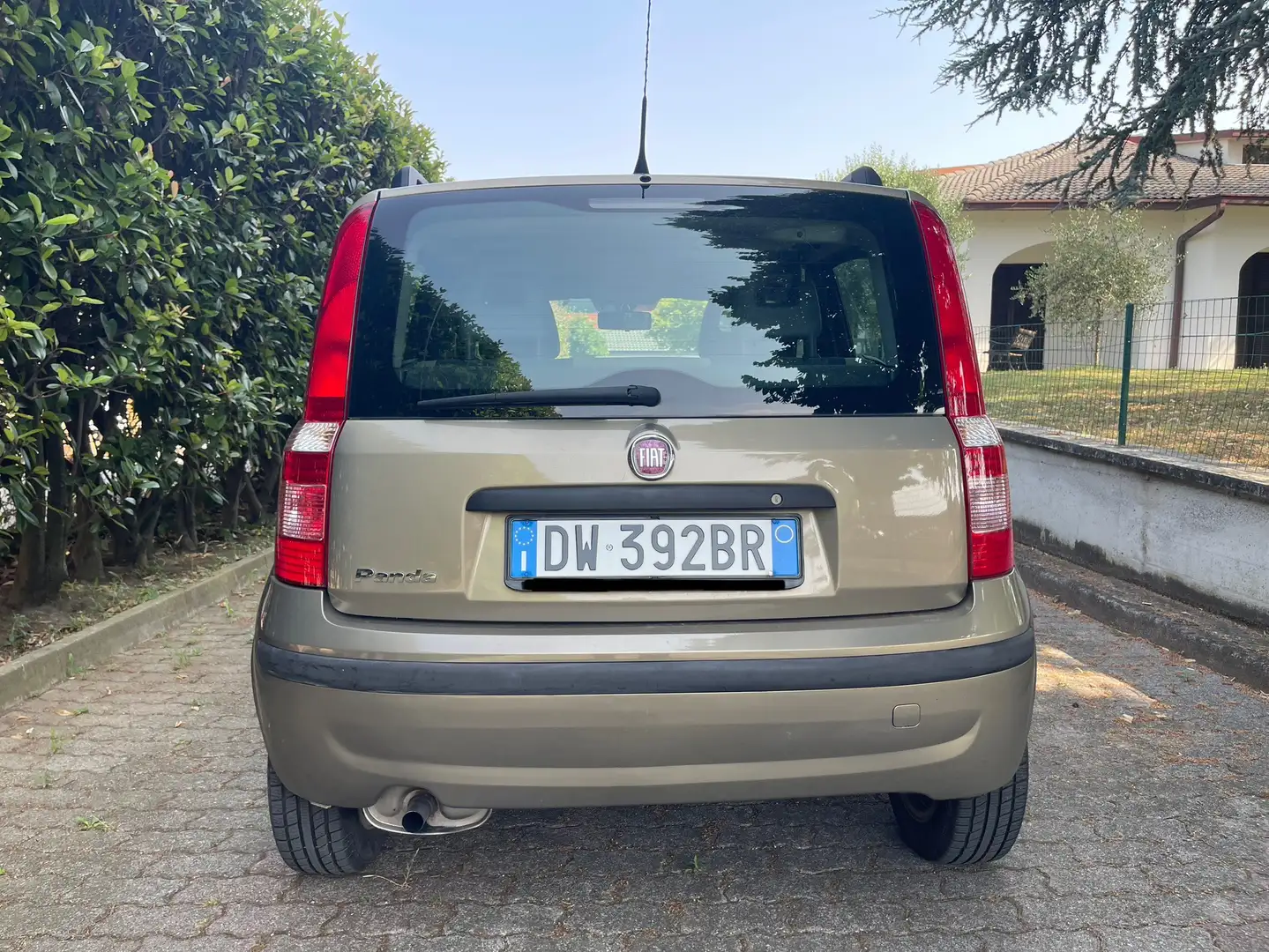 Fiat Panda 1.2 Emotion dualogic NEOPATENTATI - 2