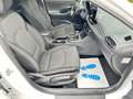Hyundai i30 Trend Mild-Hybrid * DAB * SHZ * Navi * Weiß - thumbnail 9