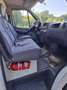 Mercedes-Benz Sprinter 313 CDI 903.671 - thumbnail 13