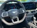 Ford Mustang Convertible GT Cabrio Magned Ride - thumbnail 22