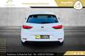 SEAT Leon Style 1,0 EcoTSI DSG // 1.BESITZ // NAVI // Weiß - thumbnail 7