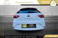 SEAT Leon Style 1,0 EcoTSI DSG // 1.BESITZ // NAVI // Weiß - thumbnail 13
