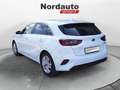 Kia Ceed / cee'd Ceed 14 Mpi GPL 5p. Business Class GPL Bianco - thumbnail 7