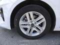 Kia Ceed / cee'd Ceed 14 Mpi GPL 5p. Business Class GPL Bianco - thumbnail 8