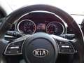 Kia Ceed / cee'd Ceed 14 Mpi GPL 5p. Business Class GPL Bianco - thumbnail 16