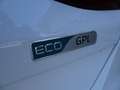 Kia Ceed / cee'd Ceed 14 Mpi GPL 5p. Business Class GPL Bianco - thumbnail 9