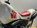 Yamaha Blanc - thumbnail 12