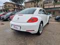 Volkswagen Maggiolino 1.6 tdi 105 CV Design 105cv Bianco - thumbnail 3