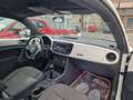 Volkswagen Maggiolino 1.6 tdi 105 CV Design 105cv Bianco - thumbnail 8