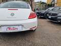 Volkswagen Maggiolino 1.6 tdi 105 CV Design 105cv Bianco - thumbnail 4