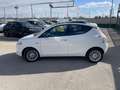 Lancia Ypsilon Ypsilon 1.3 mjt 95CV Gold-TETTO Wit - thumbnail 4