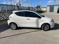 Lancia Ypsilon Ypsilon 1.3 mjt 95CV Gold-TETTO Wit - thumbnail 6