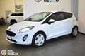 Ford Fiesta 1.5 TDCi 85 CV 3 porte Van Trend Bianco - thumbnail 3