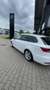 SEAT Leon 1.4 EcoTSI Xcellence Wit - thumbnail 1
