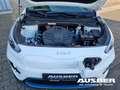 Kia Niro e-Vision NAVI-UVO Weiß - thumbnail 14