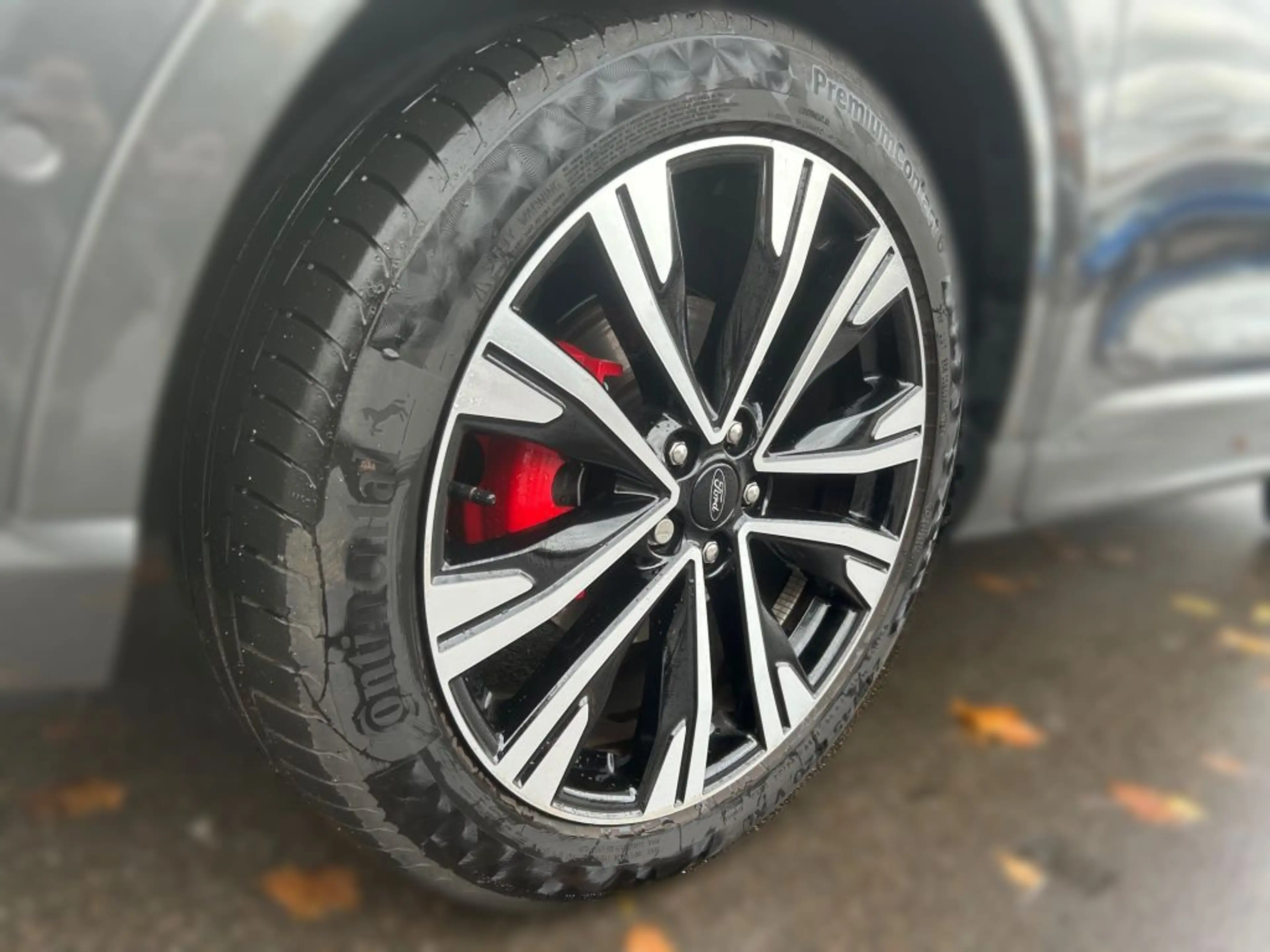 Ford Kuga 2.5 Duratec PHEV ST-LINE X — photo 8
