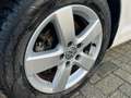 Volkswagen Golf Plus 1.4 TSI 122PK Clima,Cruise,PdcV+A,Stoelverw.,Isofi Wit - thumbnail 31