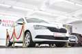 Skoda Fabia Cool Plus*KLIMA*GARANTIE Weiß - thumbnail 3