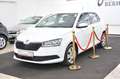 Skoda Fabia Cool Plus*KLIMA*GARANTIE Weiß - thumbnail 4