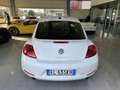 Volkswagen Maggiolino 2.0 Tsi Sport -- Dsg -- Unica Proprietaria Wit - thumbnail 4