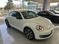 Volkswagen Maggiolino 2.0 Tsi Sport -- Dsg -- Unica Proprietaria Wit - thumbnail 2