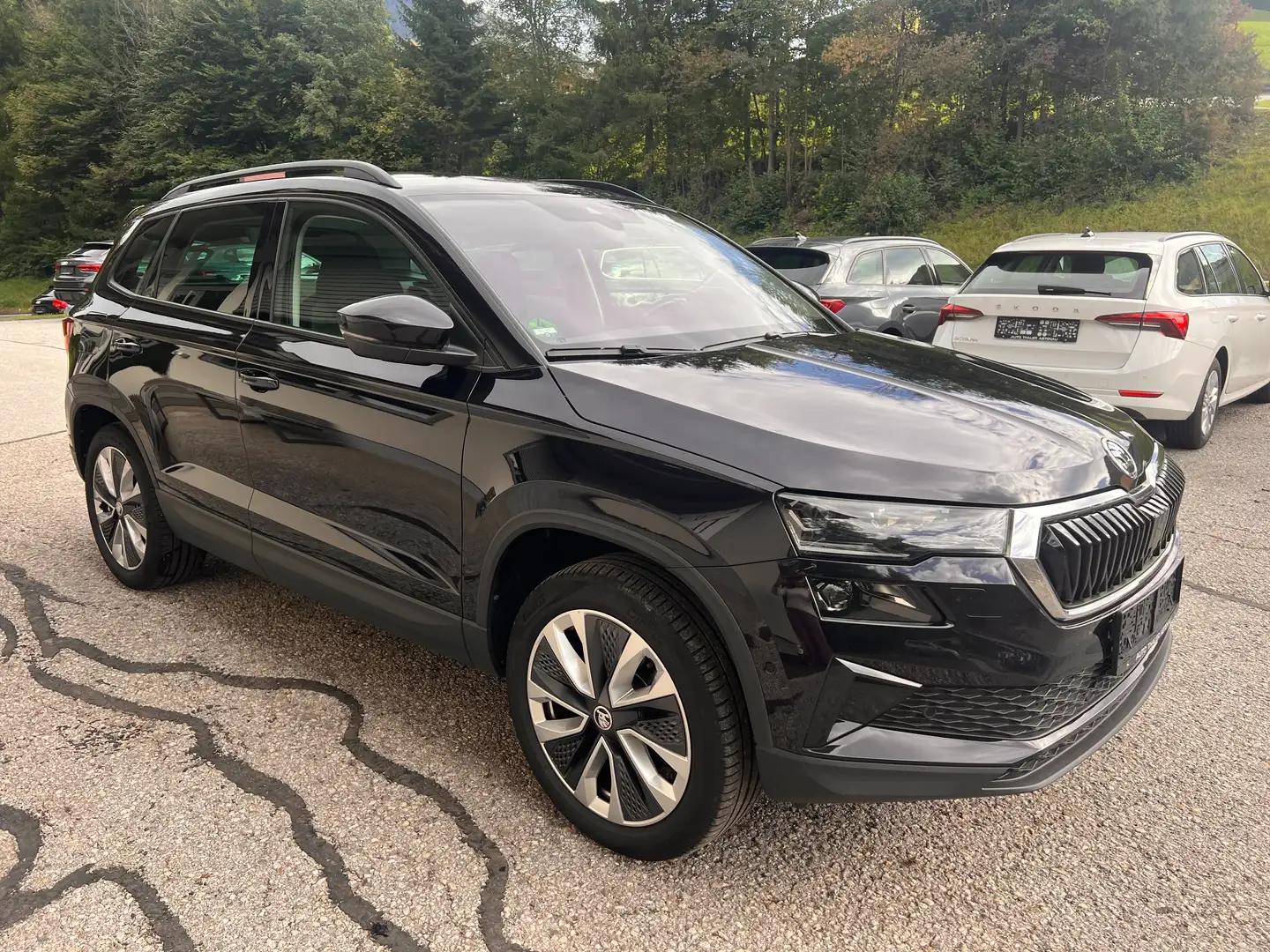 Skoda Karoq Ambition Clever 2,0 TDI 4x4 Schwarz - 2