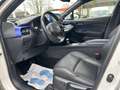 Toyota C-HR Hybrid Style Selection, Leder Standheizung Weiß - thumbnail 11