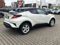 Toyota C-HR Hybrid Style Selection, Leder Standheizung Weiß - thumbnail 7