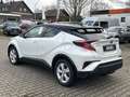 Toyota C-HR Hybrid Style Selection, Leder Standheizung Weiß - thumbnail 5