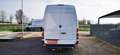 Mercedes-Benz Sprinter F43/35 314 CDI TA Pro - GANCIO TRAINO e CAMBIO AUT Weiß - thumbnail 6