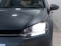 Volkswagen Golf Variant 1.6TDI Business Edition Gris - thumbnail 3
