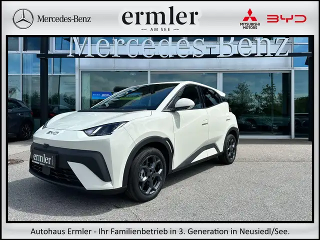 BYD Dolphin Surf Boost Neuwagen AKTION lagernd