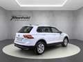 Volkswagen Tiguan 2.0 TDI DSG 4M Elegance, Matrix, AHK, 18" Weiß - thumbnail 4