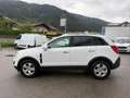 Opel Antara Antara 2,2 CDTI 4x4  Aut. Cosmo Weiß - thumbnail 5