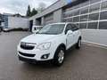 Opel Antara Antara 2,2 CDTI 4x4  Aut. Cosmo Weiß - thumbnail 2