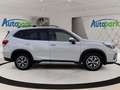 Subaru Forester 2,0ie Mild Hybrid Style Weiß - thumbnail 4